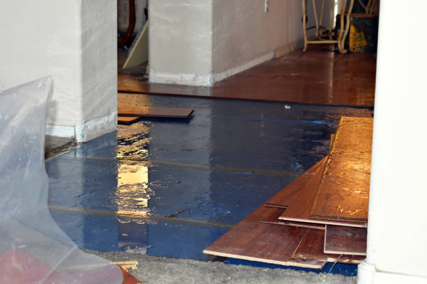 Professional Burst Pipe Cleanup technician working in Akron, OH